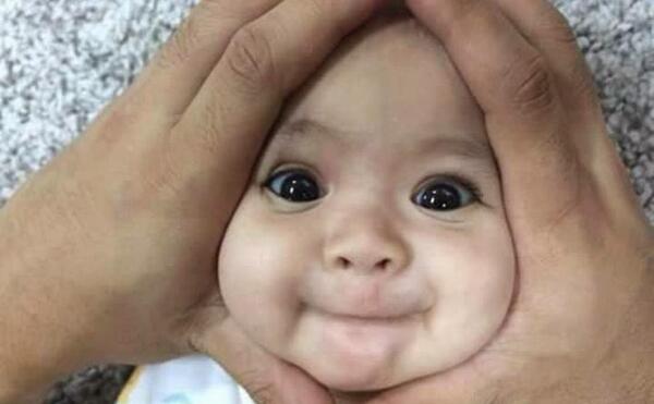 عکس های خنده دار چیز های خنده دار