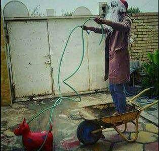 عکس های خنده دار روز