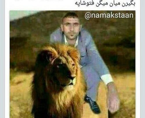 عکس های خنده دار شیر