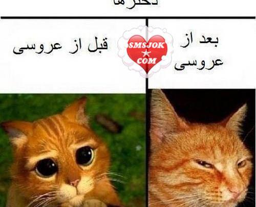 عکس های خنده دار قیافه من وقتی