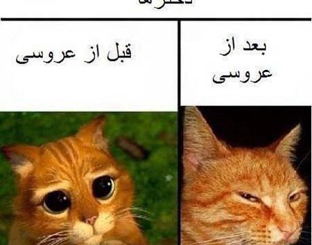 عکس های خنده دار قبل و بعد