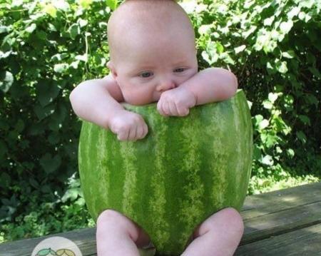عکس های خنده دار هندوانه