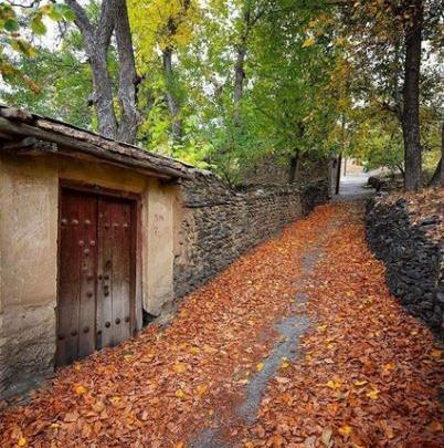 عکس های عاشقانه پاییزی