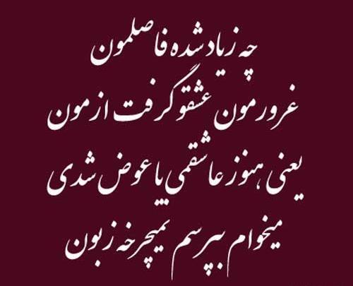 عکس های زیبا رحیمی خواننده