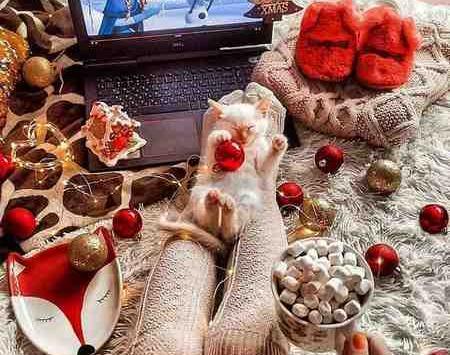 عکس های زیبای ژانویه