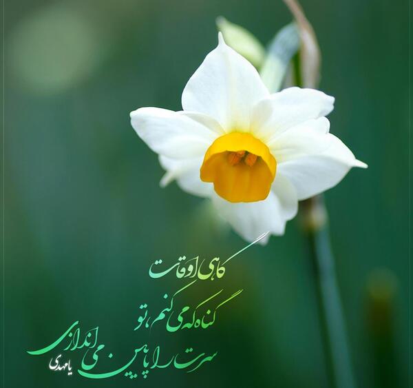 عکس های زیبای ظهور