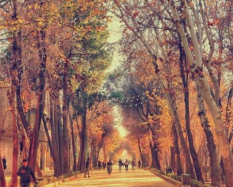 عکس های زیبا فصل پاییز