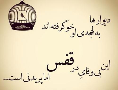 عکس های زیبا نوشته دار