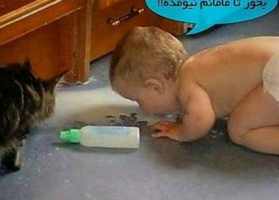 عکس های جالب خنده دار و دیدنی