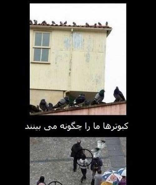عکس های جالب خنده دار و دیدنی