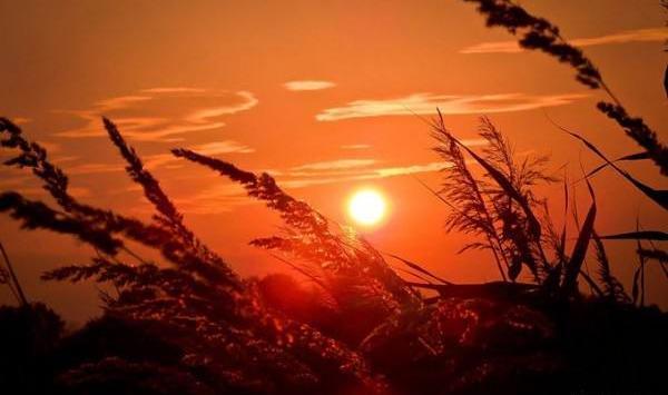 عکس های جالب از غروب خورشید