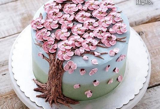 عکس های جالب کیک