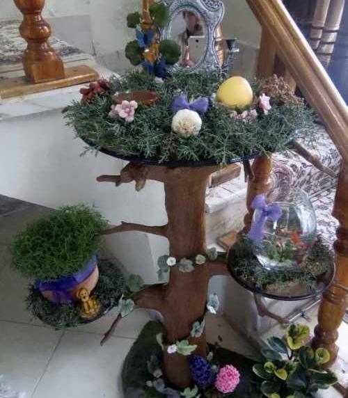 عکس هفت سین روی تنه درخت