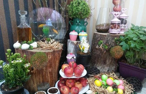 عکس هفت سین روی تنه درخت