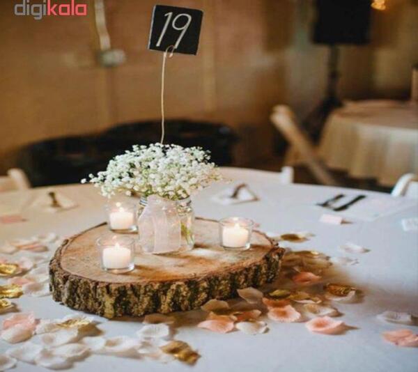 عکس هفت سین روی تنه درخت