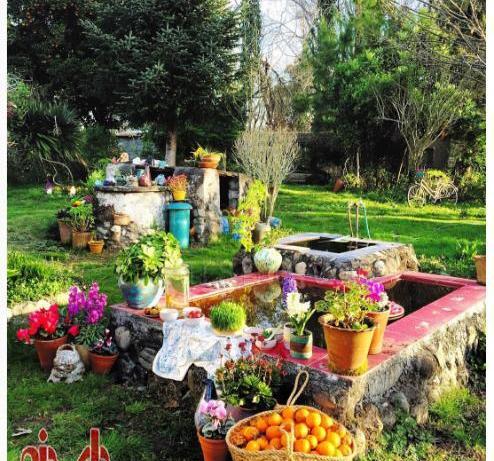 عکس هفت سین طبیعی
