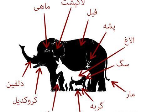 عکس های فکری و معمایی