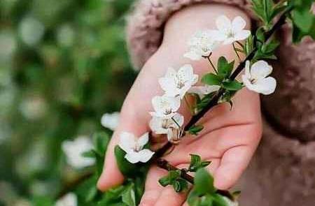 عکس های بهاری خاص