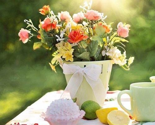 عکس های صبح بهاری