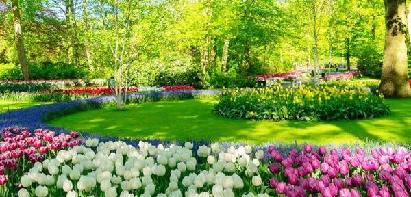 عکس های قدیمی بهار