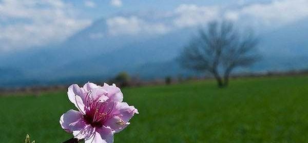 عکس های بهاری و زیبا