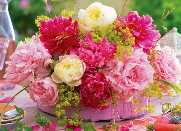 عکس های گل های بهاری