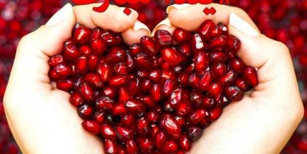 عکس شب یلدا مبارک برای وضعیت واتساپ