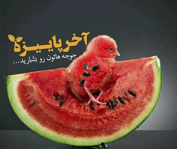 عکس درباره ی یلدا