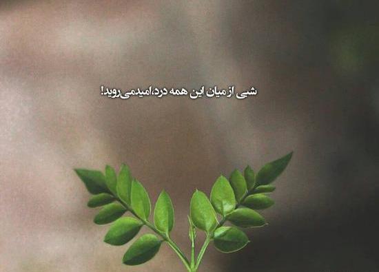 عکس خدایا حال دل همه رو خوب کن
