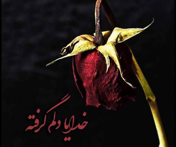 عکس خدایا قلب من پیش تو گیره