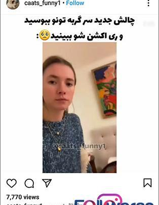 عکس ایده برای چالش اینستاگرام