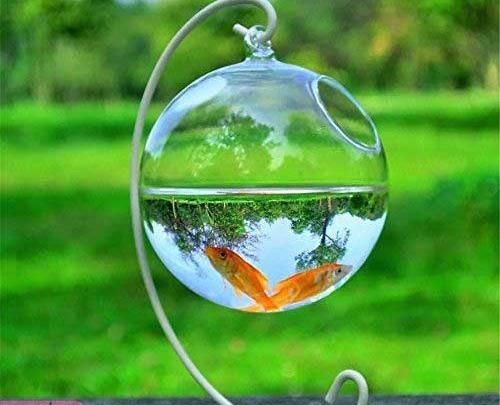عکس ایده هفت سین با گوی شیشه ای