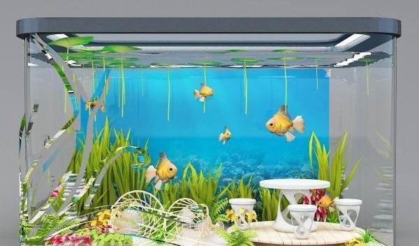 عکس ایده برای تزیین آکواریوم