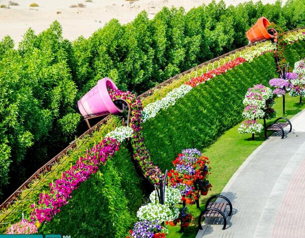 عکس ایده برای باغ گل