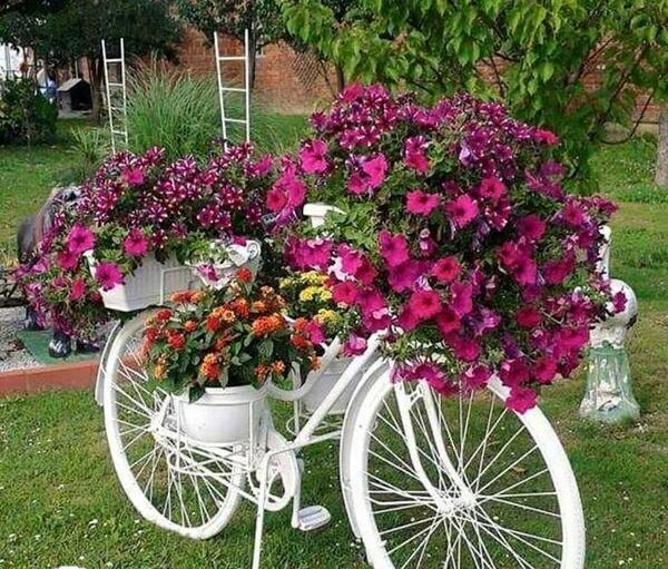 عکس ایده برای باغ گل