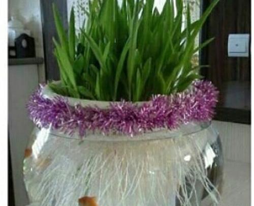 عکس ایده برای ظرف سبزه عید