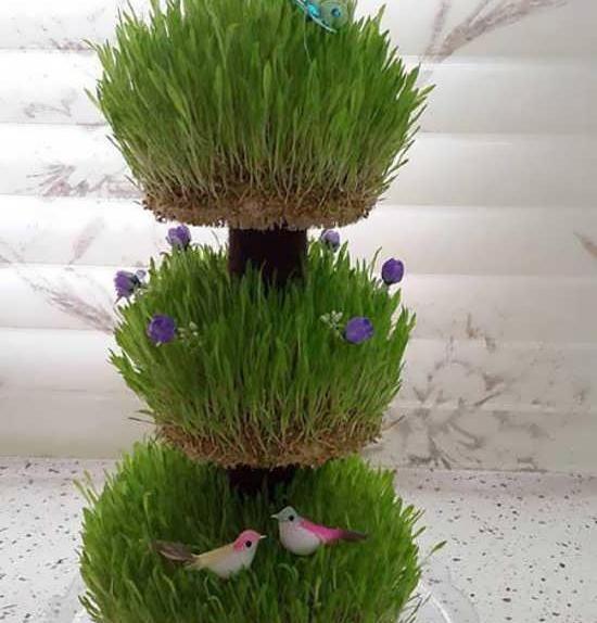 عکس ایده برای ظرف سبزه عید