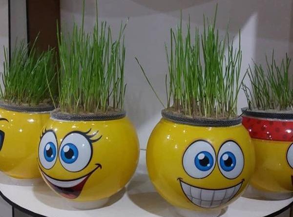 عکس ایده برای ظرف سبزه عید