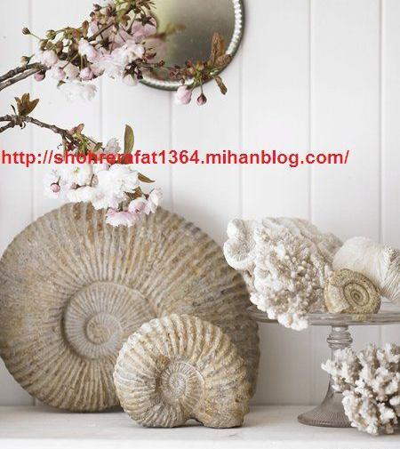 عکس ایده برای کاردستی با صدف