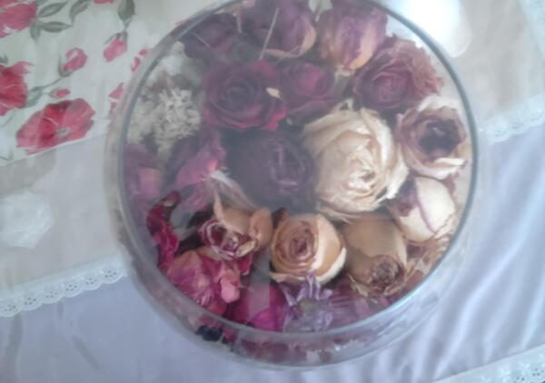 عکس ایده برای گل رز خشک شده