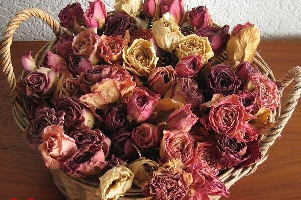 عکس ایده برای جای گل خشک