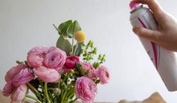 عکس ایده برای جای گل خشک