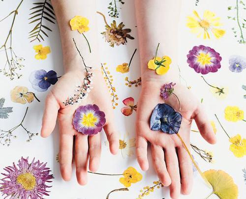 عکس ایده برای جای گل خشک