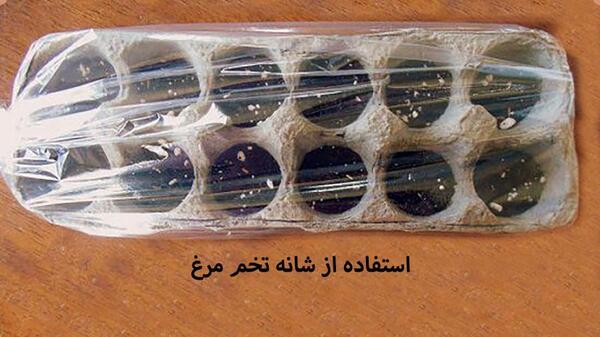 عکس ایده برای گلخانه کوچک