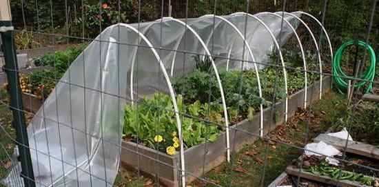 عکس ایده برای گلخانه کوچک