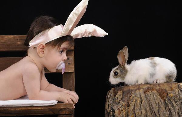 عکس ایده برای لباس خرگوش
