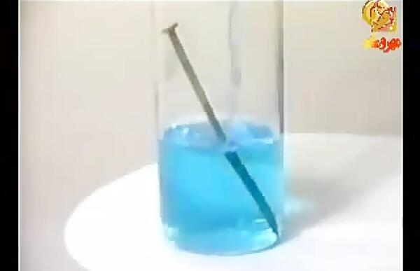 عکس کات کبود