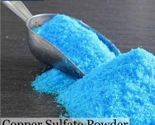 عکس کات کبود