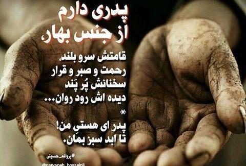 عکس پیری پدر