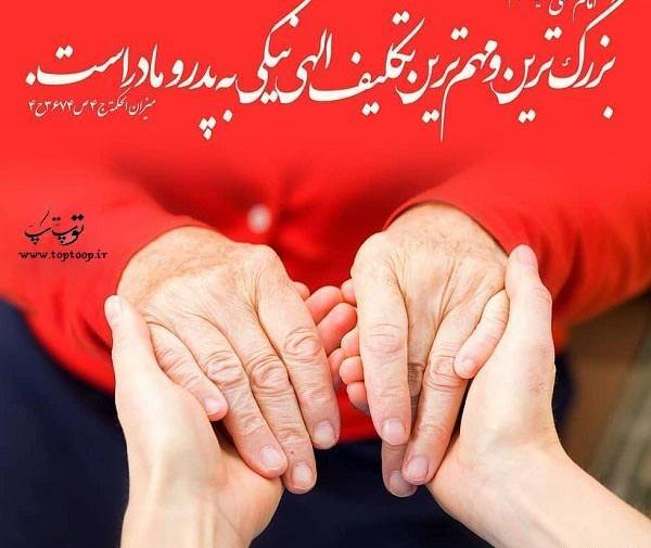 عکس پیری پدر